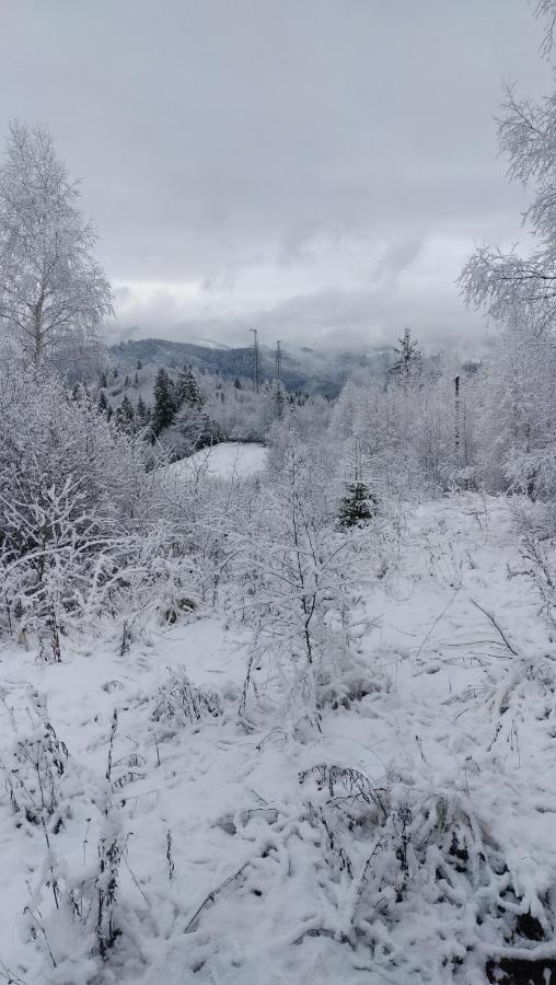 סלאבסקה Zacharovany Karpaty מראה חיצוני תמונה